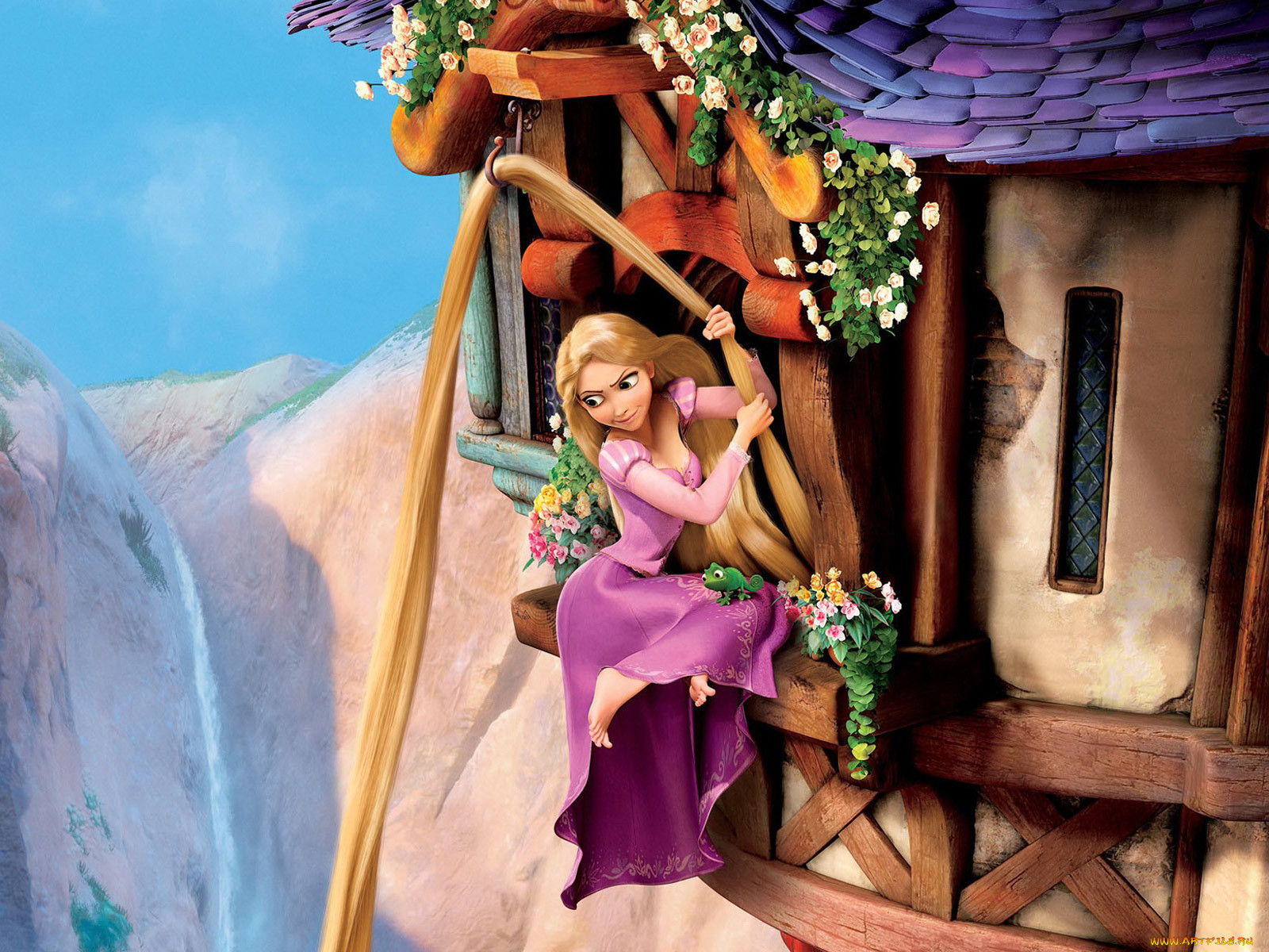 , tangled